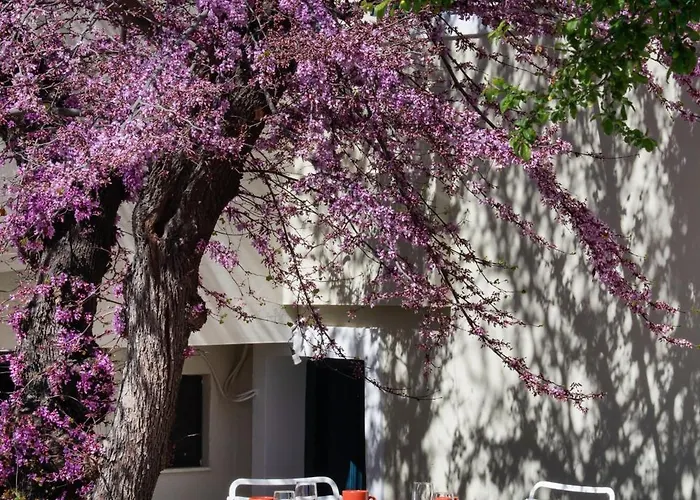 別荘 Av - Giorgio *